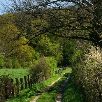 Participez à la protection des espaces naturels sensibles !