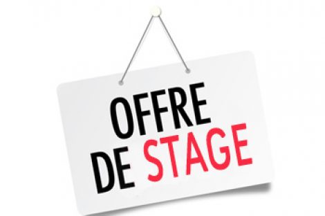 Etudiant.e en informatique systèmes et réseaux