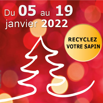Recyclez votre arbre de Noël