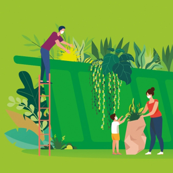 Collecte saisonnière des déchets verts