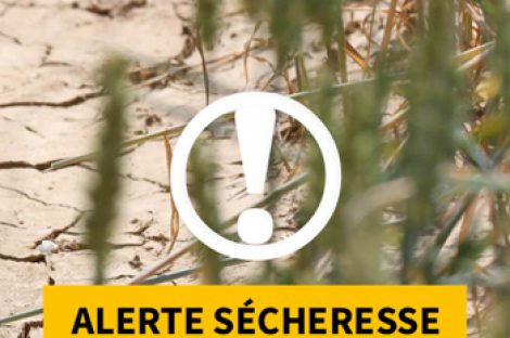 Alerte sécheresse des cours d’eau