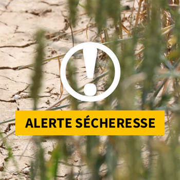 Alerte sécheresse des cours d’eau