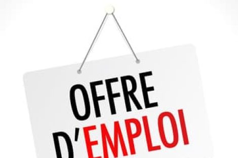 Agent de surveillance de la voie publique (F/H)