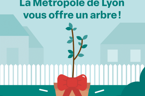 Distribution gratuite d’arbres